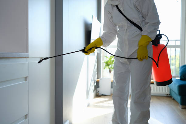 Best Residential Mold Removal  in Bessemer, MI