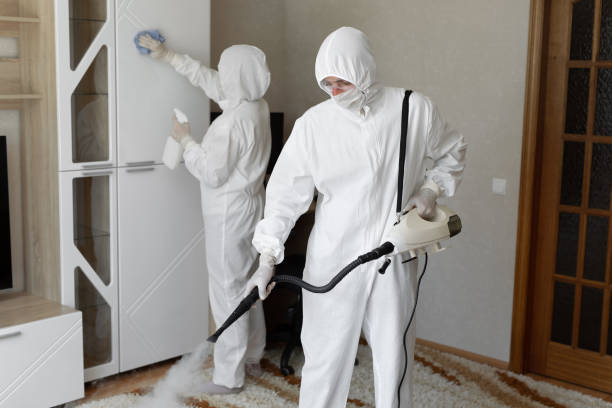 Best Attic Mold Removal  in Bessemer, MI